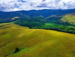 MRPB Desak Pemkab Tambrauw Kembalikan Lima Distrik ke Manokwari, Warga Keluhkan Akses Pelayanan